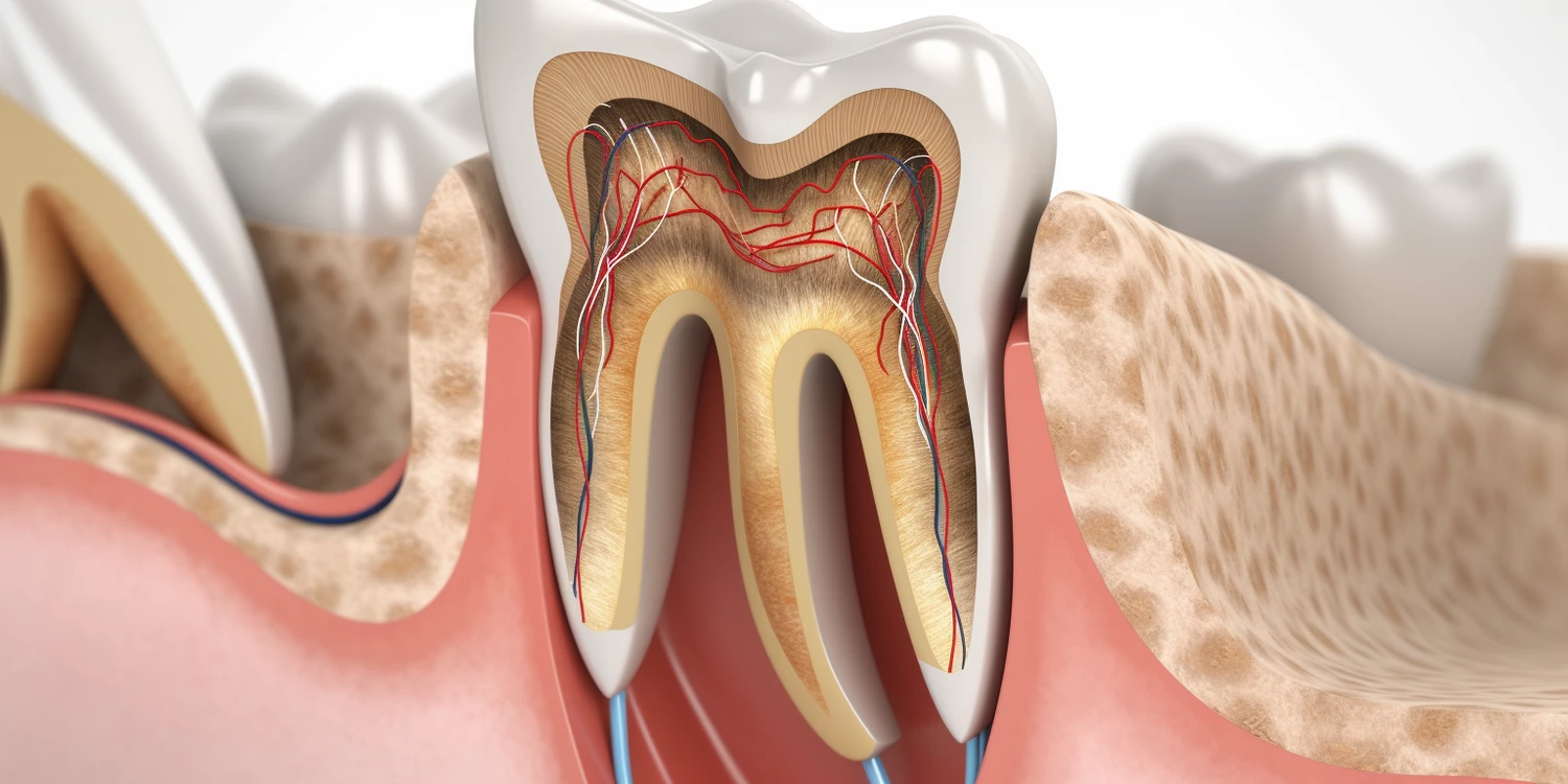 Co dentysta wkłada do zęba po usunięciu?